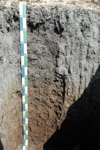 Bimodal soil profile, Mahabubnagar Telangana