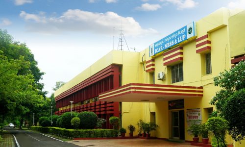 NBSS&LUP Building