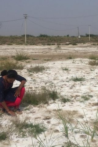 Salt affected soils at Sindhanur, Raichur district, Karnataka