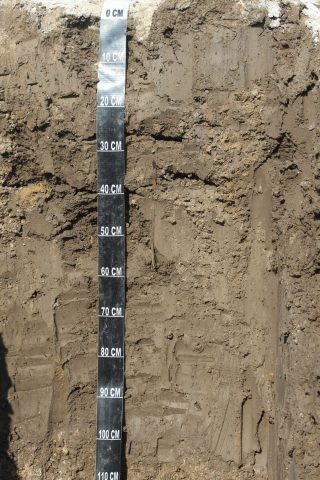 Soil profile of salt affected soils at Sindhanur, Raichur district, Karnataka